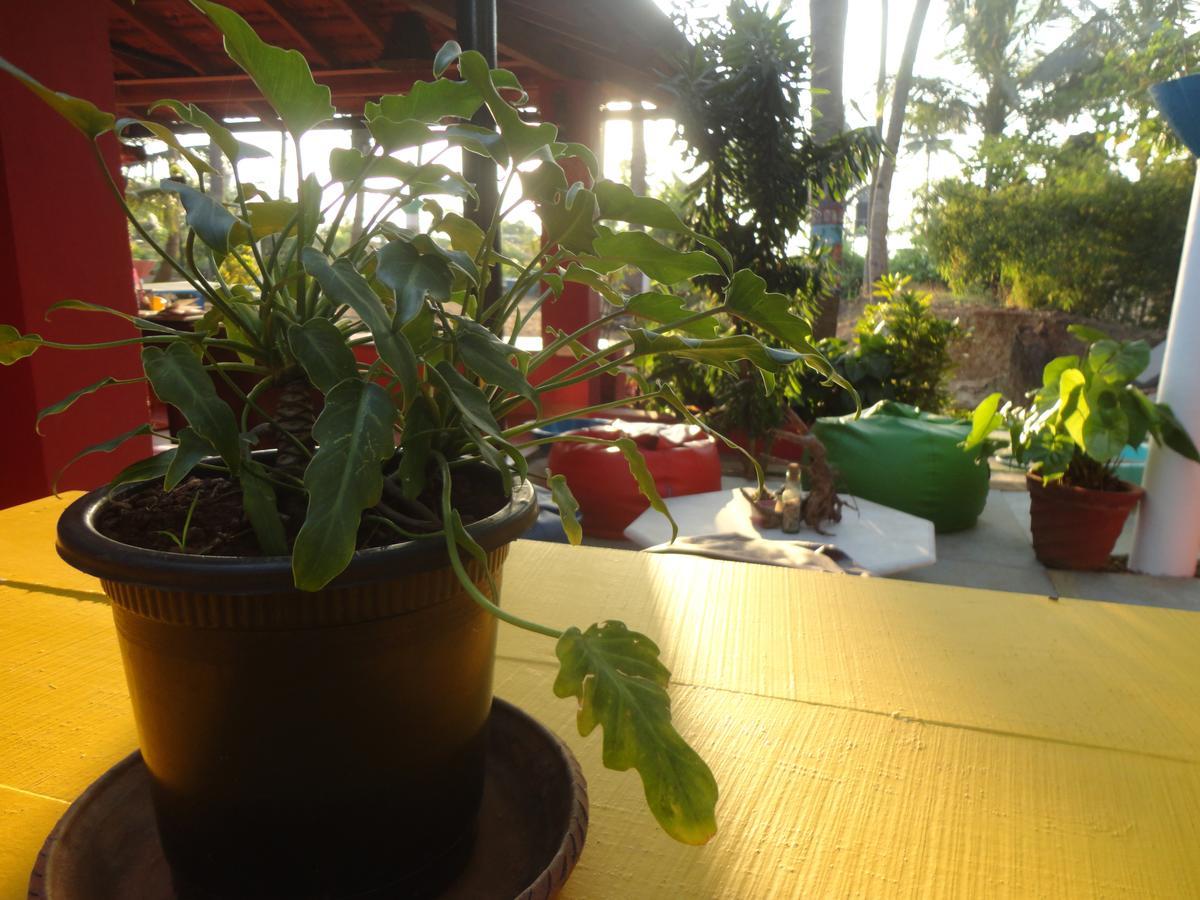 The Yuppi Hippi Female Hostel Anjuna Luaran gambar